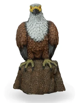 Painted Fish Eagle Small Length:690mm Width:390mm Height:400mm