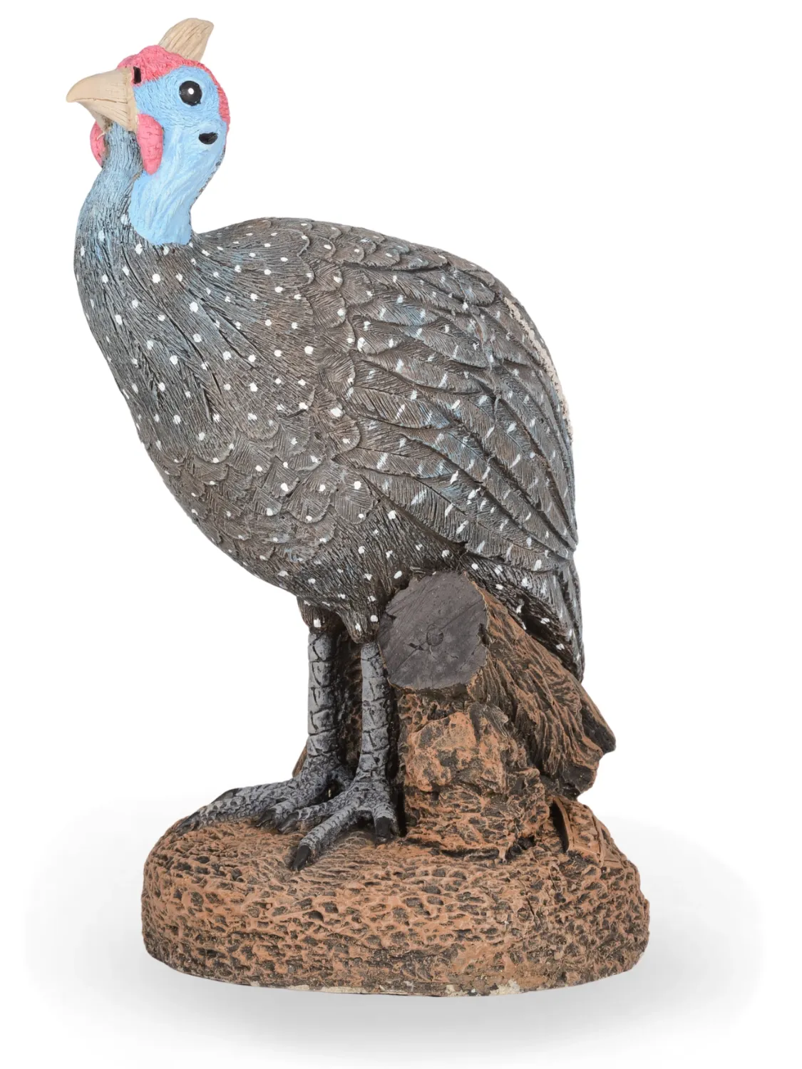 Painted Guinea Fowl Single Lenght:230mm  Width:230mm Height:500mm