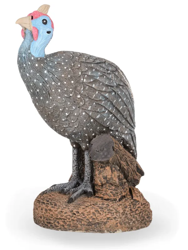 Painted Guinea Fowl Single Lenght:230mm  Width:230mm Height:500mm