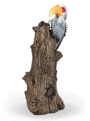 Painted Hornbill Lenght:300mm Width:300mm Height:500mm