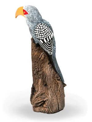 Painted Hornbill Lenght:300mm Width:300mm Height:500mm