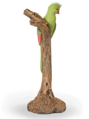 Painted Knysna Loerie Single Lenght:320mm Width:320mm Height:680mm