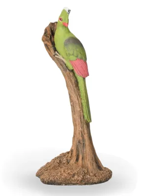 Painted Knysna Loerie Single Lenght:320mm Width:320mm Height:680mm