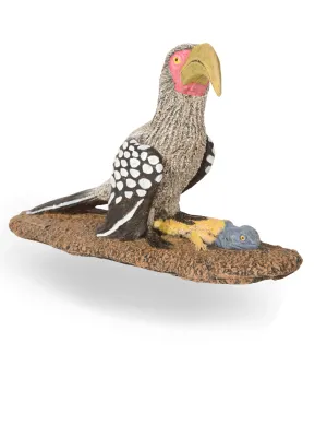 Painted Hornbill With Lizard Lenght:400mm Width:210mm Height:260mm
