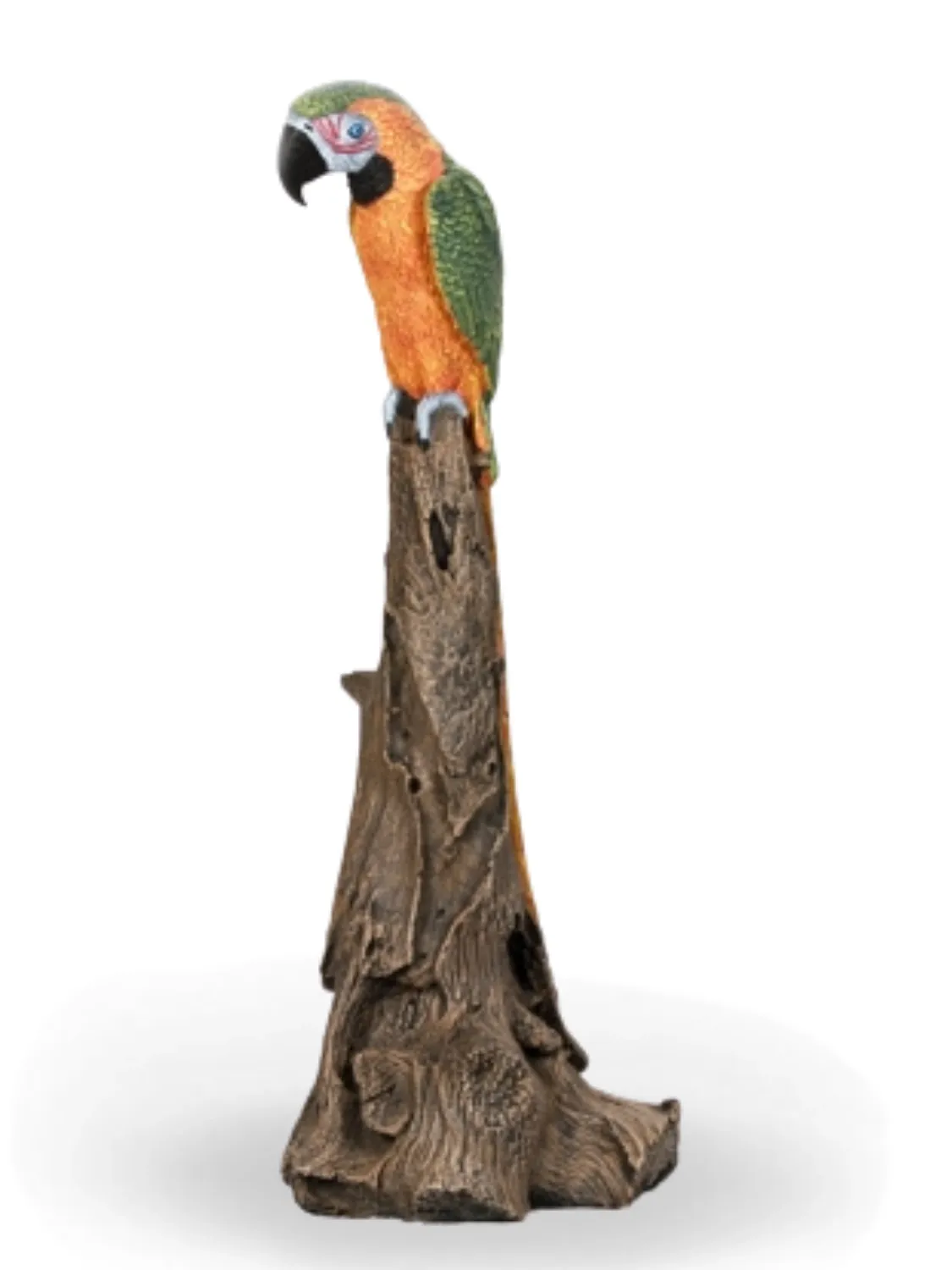 Painted Green Parrot Lenght:300mm Width:340mm Height:900mm