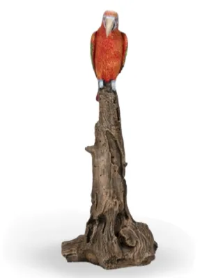 Painted Red Parrot Lenght:300mm Width:340mm Height:900mm