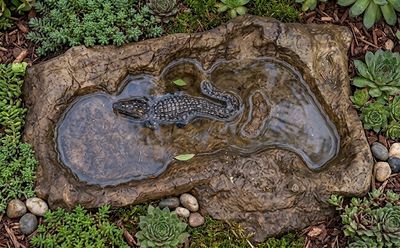 Croc Water Rock 0.80Width 0.48Depth 0.21Height (CM) – 22KG​