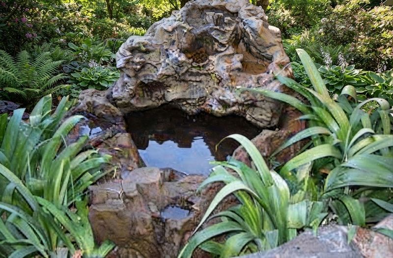 Fibreglass Birdsong Cascade & Amanzi Pond Length:1310mm Width:1230mm Height:456mm Volume:60Liters Fibreglass Birdsong Cascade & Amanzi Pond Length:1310mm Width:1230mm Height:456mm Volume:60Liters