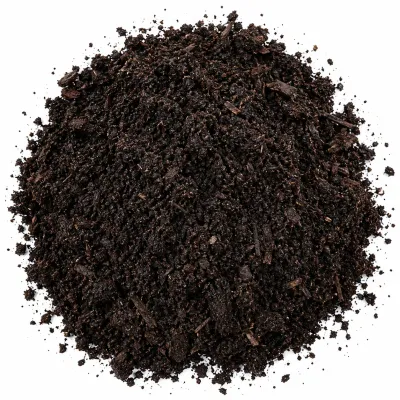Back Gold Compost 30dm³