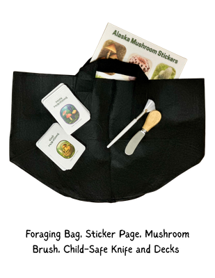 Two Deck Bundle