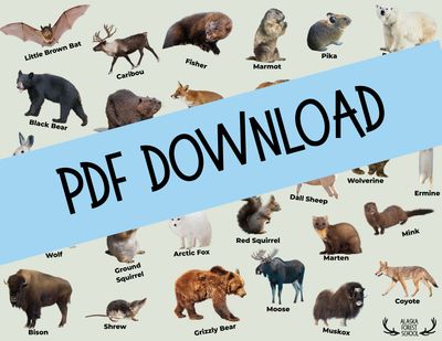 Alaska Land Mammals ID Poster
