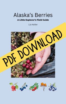 PDF Alaska's Berries: A Little Explorer's Guide