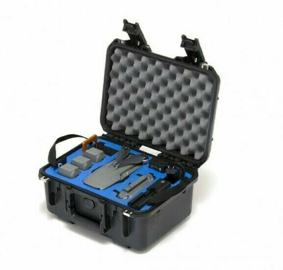 Cases