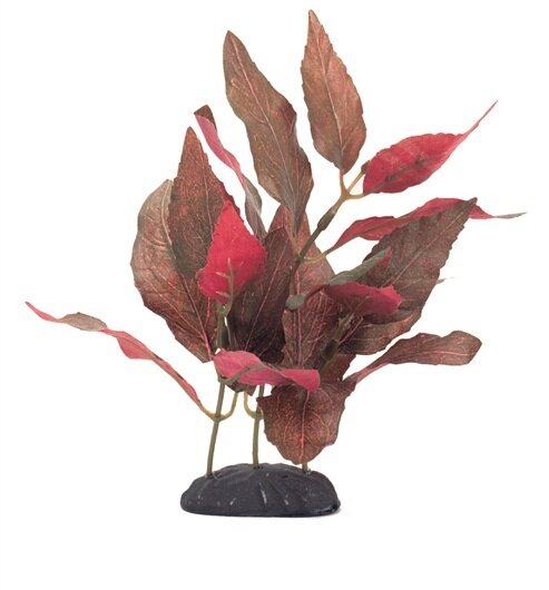 Marina EcoScaper Alternanthera Cardinalis Silk Plant - 20 cm (8&quot;)