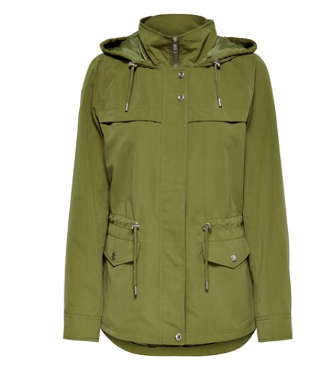 Spring Jacket Lizard