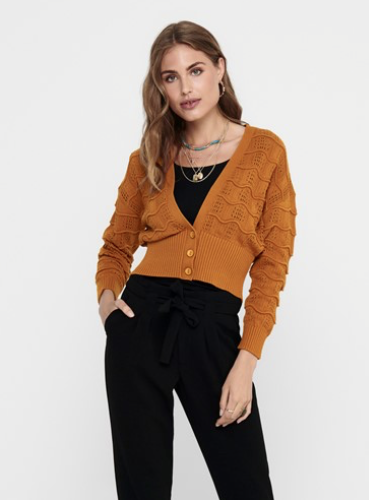 Gabrielle L/S Cardigan Pumpkin Spice