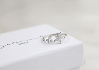 Finx Ring Silver 6.5