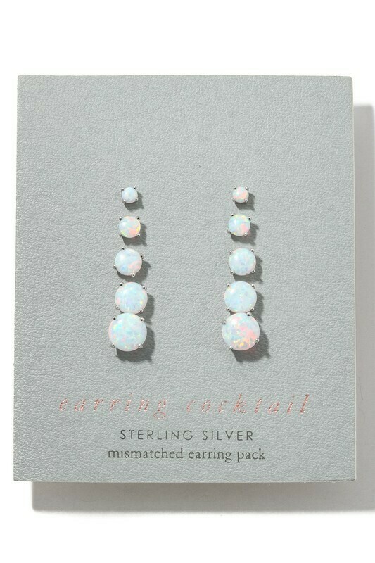 NS616019 Earring Set