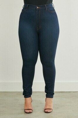 Plus Dark Stone Jean