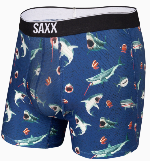 SXBB29 CHO Volt Boxer