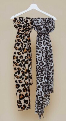 1554 Leopard Brushed Scarf-Black