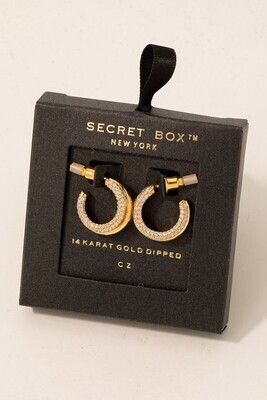 SB19982 Studded Hoop Earrings-Gold
