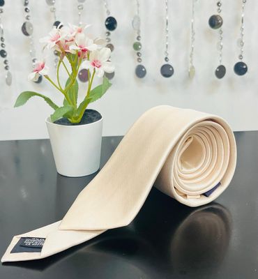 Men&#39;s mix Silk Solid Ties-Cream