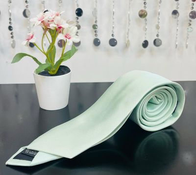 Men&#39;s mix Silk Solid Ties-Mint