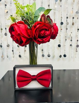 Men&#39;s Poly Silk Boxed Bow Ties-Red