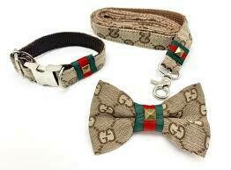 Gucci collars/ leash collection