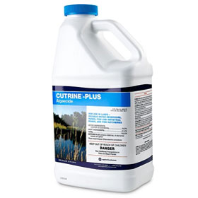 Cutrine Plus 1 gallon