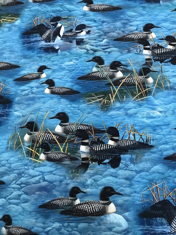 Lakeside Loon