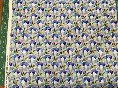 Dancing Blossoms Iris