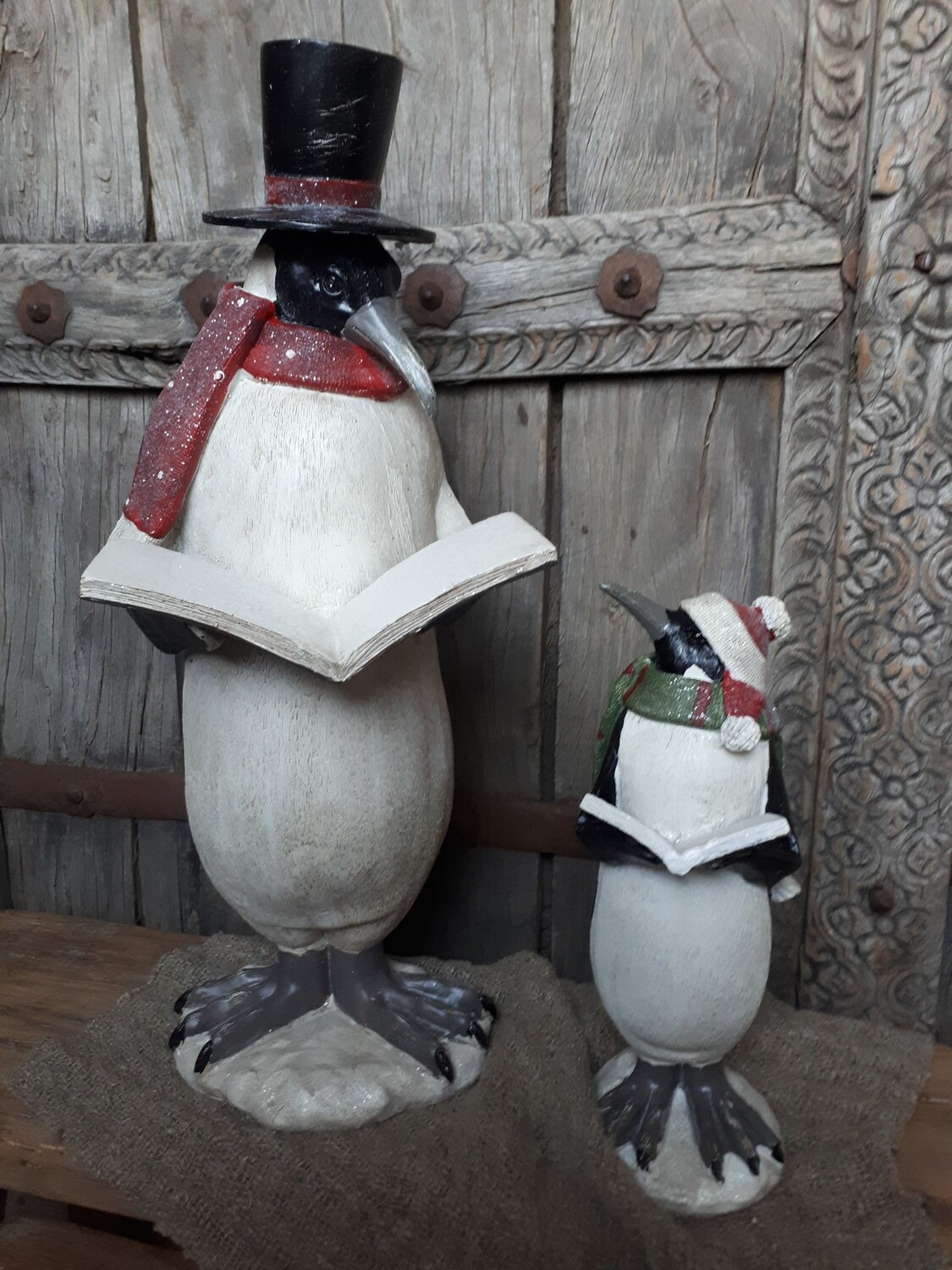 Pinguïn met boek rode sjaal