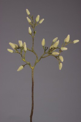 Magnolia 71 cm