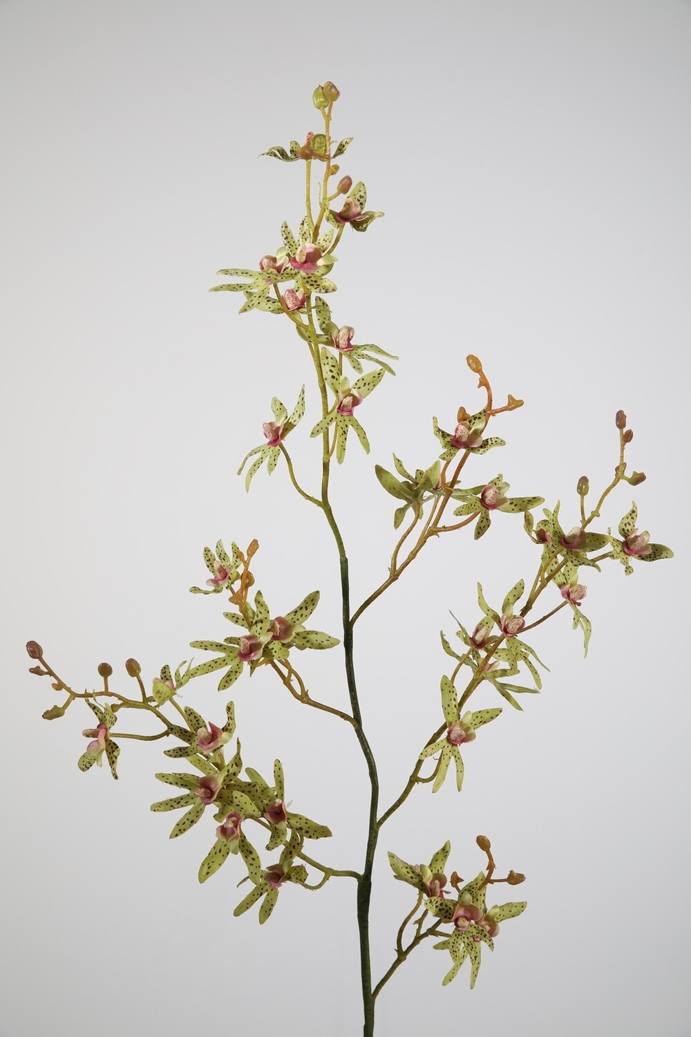 Orchidee 97 cm