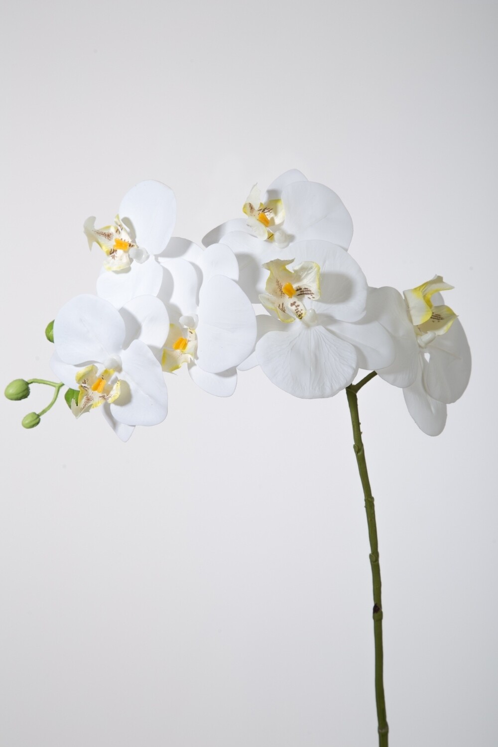 Orchidee 68 cm