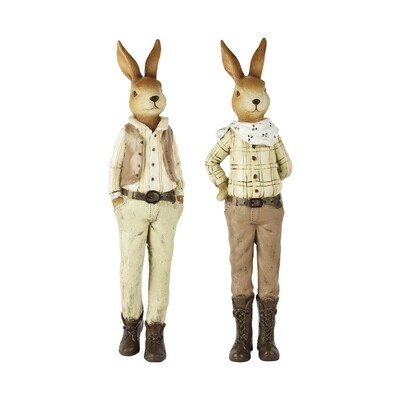 Duo stoere konijnen bruin