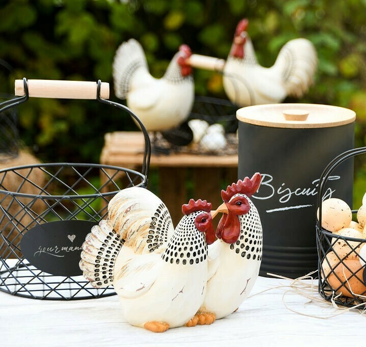 Koppel kippen wit/zwart