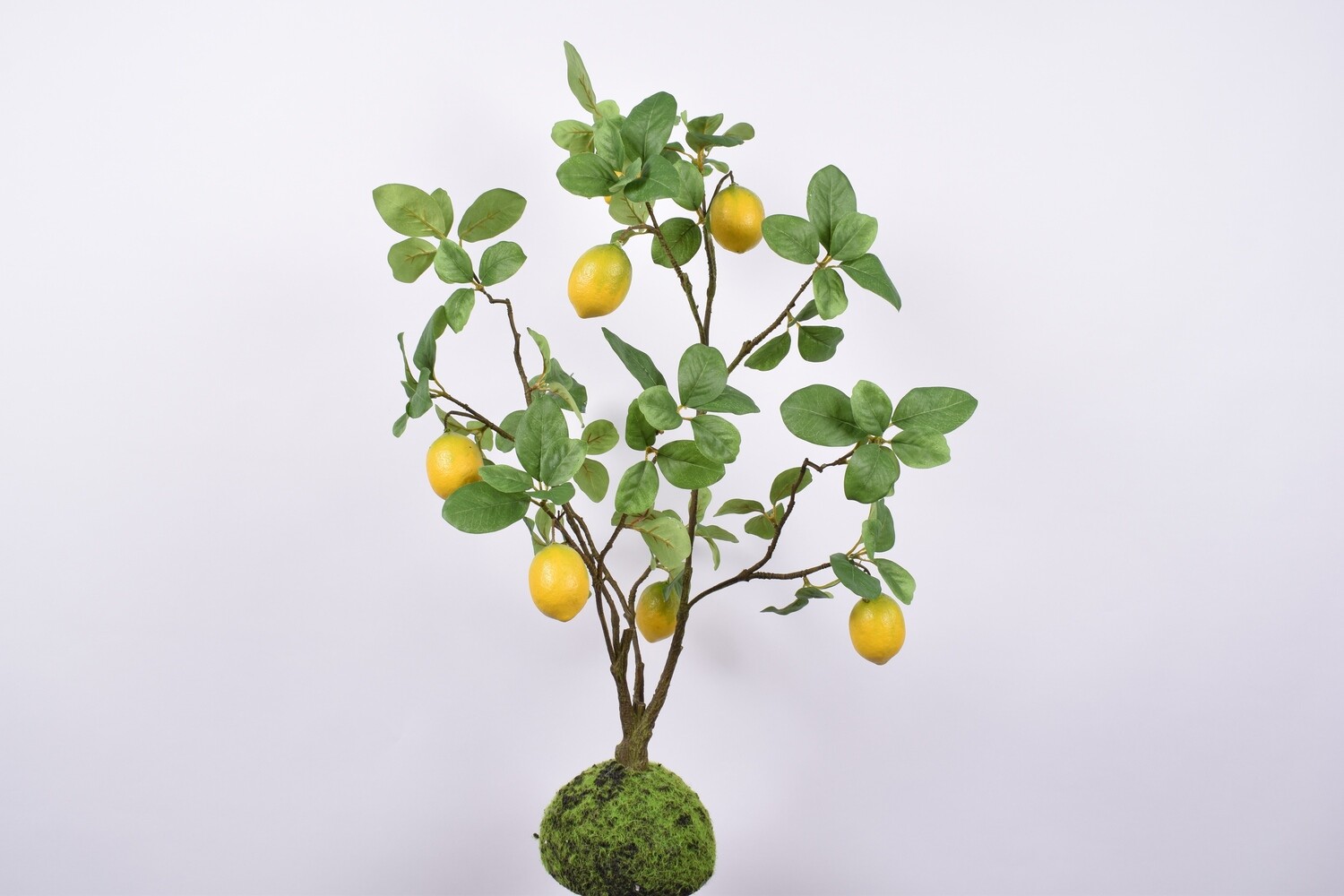 Plant citroen groen 80 cm