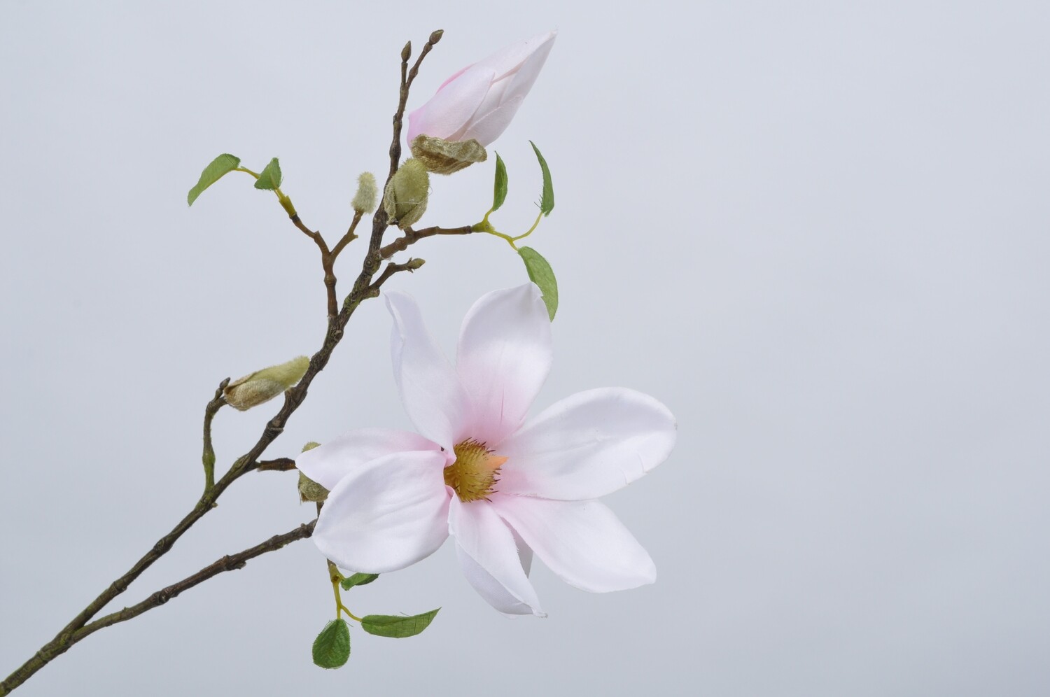 Magnolia tak licht roze 89 cm