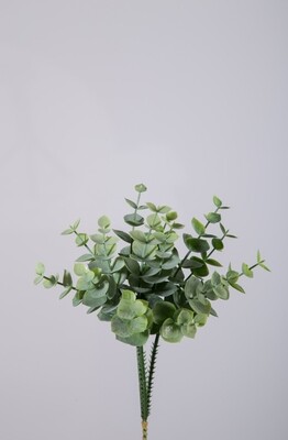 Eucalyptus Pick 20 cm
