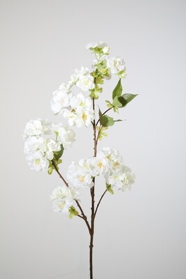 Cherry Blossom 80 cm