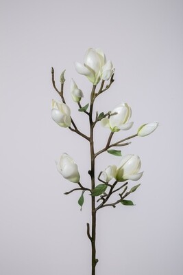 Magnolia Bud Stem 83 cm