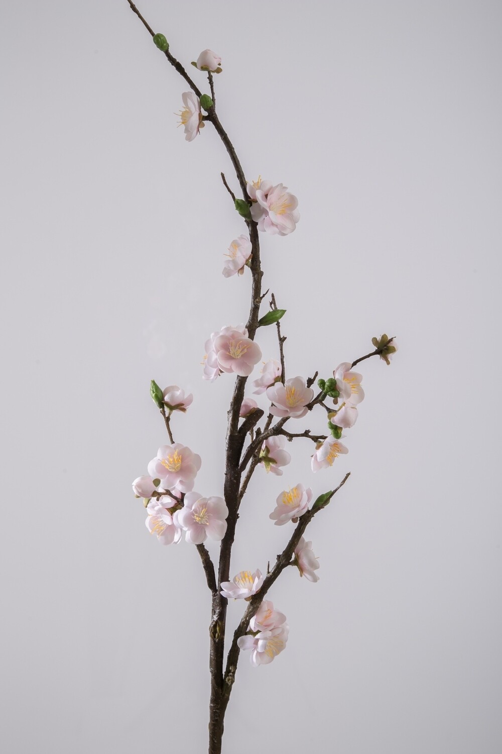 Blossom 102 cm