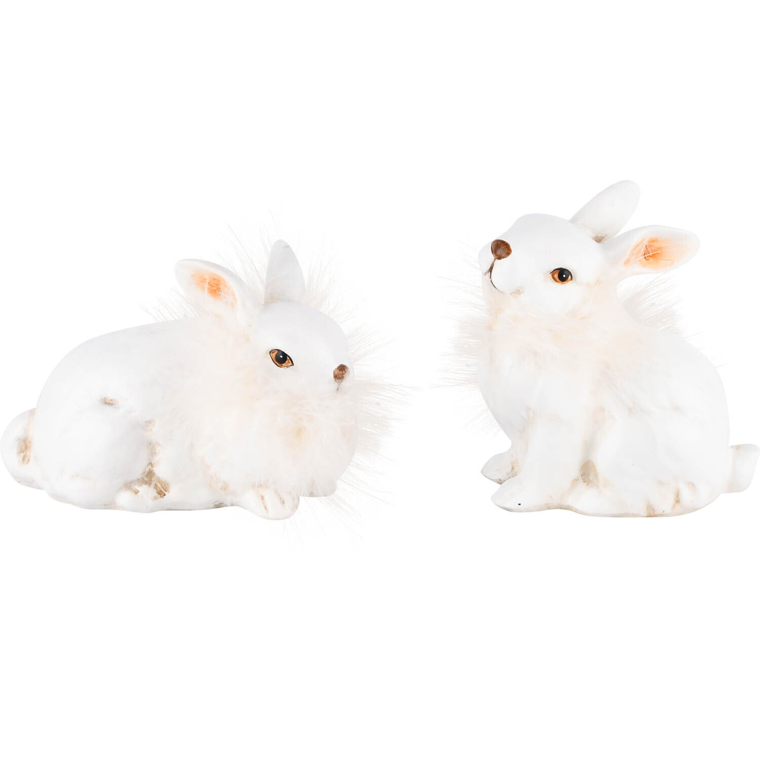 Set 2 bunnies zittend fluffy