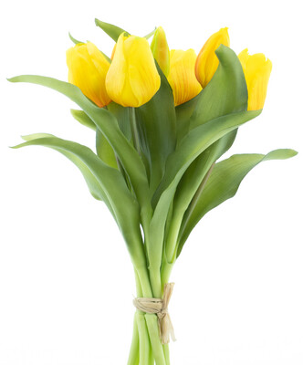 Vermeer tulip bundle x7 sally yellow 31cm
