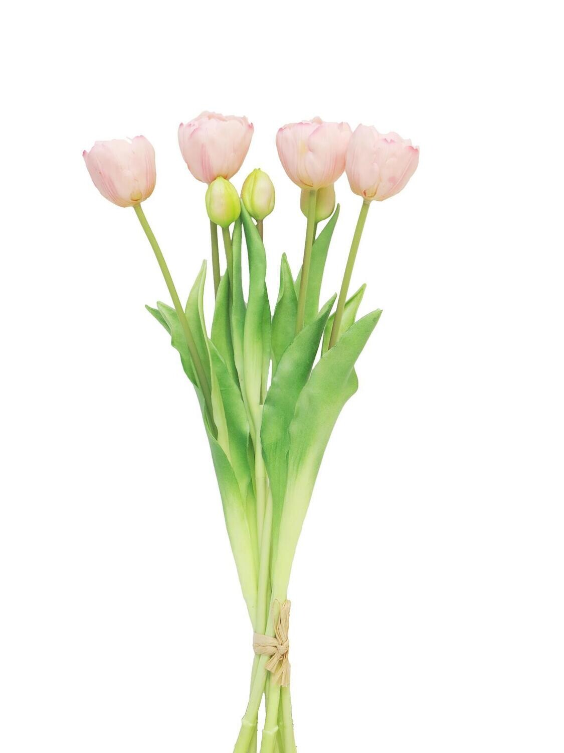 Double Tulip bundle Sally x7 pink 44cm