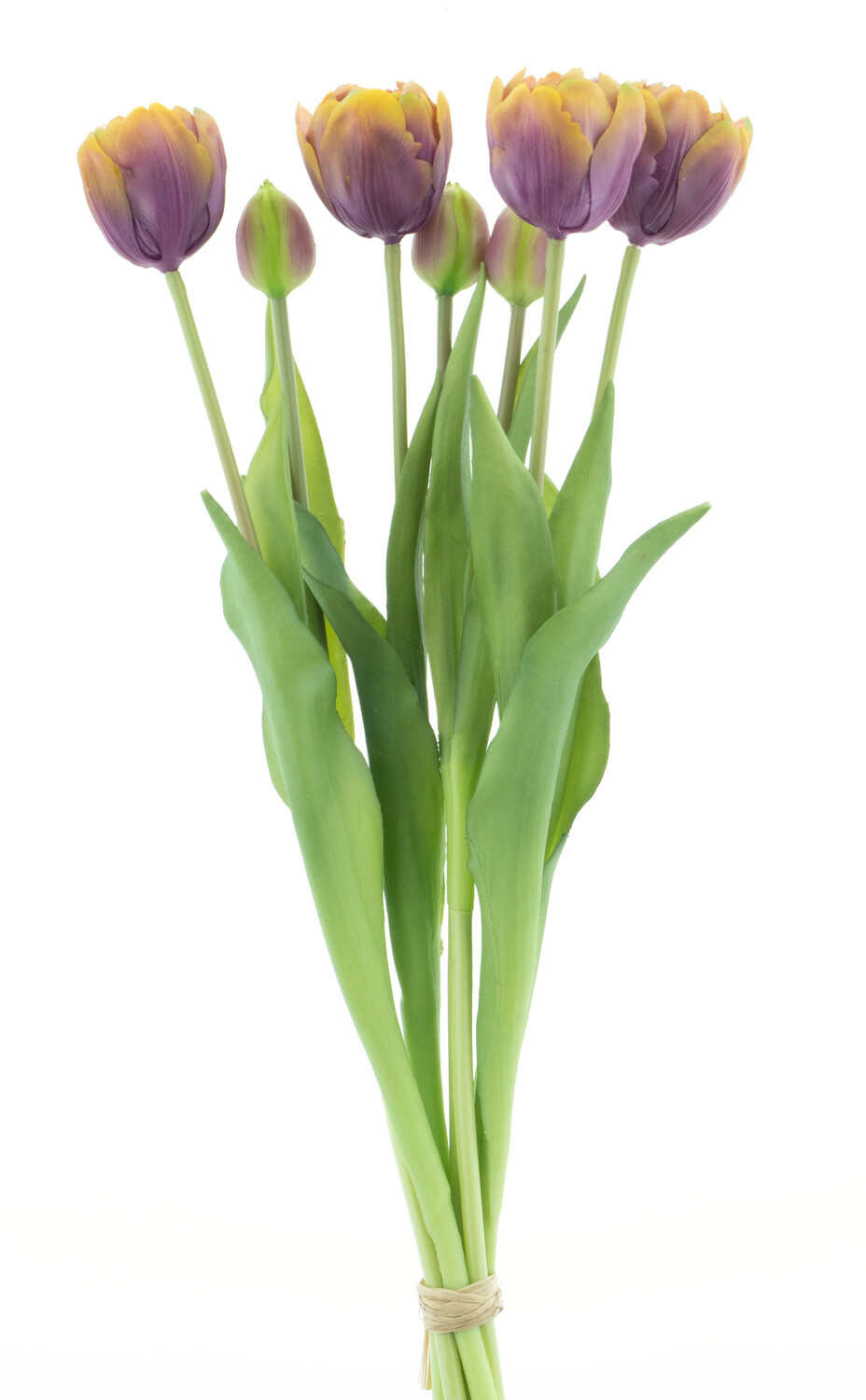 Double Tulip bundle Sally x7 yellow/mauve