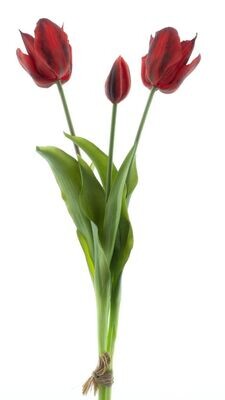 Real Touch Open tulip bundle Sally x3 red 48cm